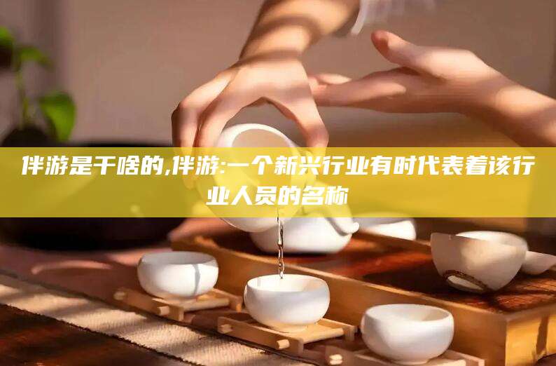 合肥伴游是干啥的,伴游:一个新兴行业有时代表着该行业人员的名称